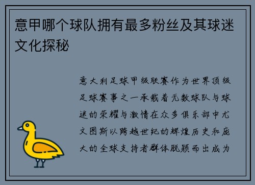 意甲哪个球队拥有最多粉丝及其球迷文化探秘